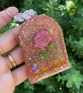 Enchanted rose 🥀